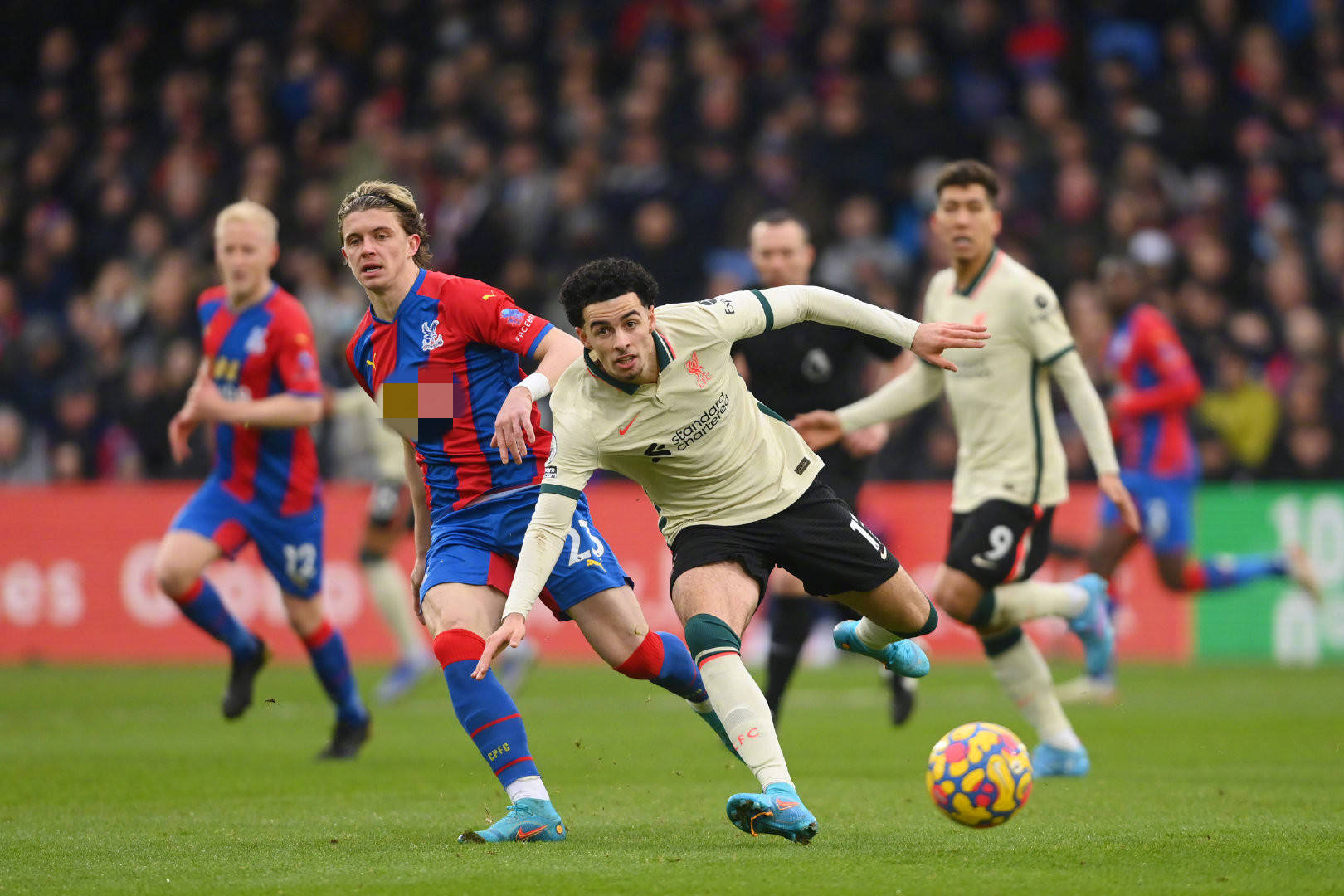 为了让读者 为了让读者